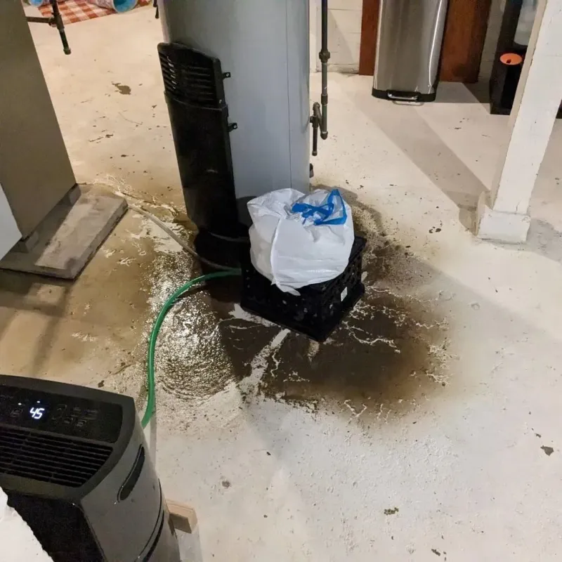 Sewage Backup Cleanup Service in Fulton, TX